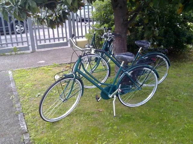 Viale Venezia